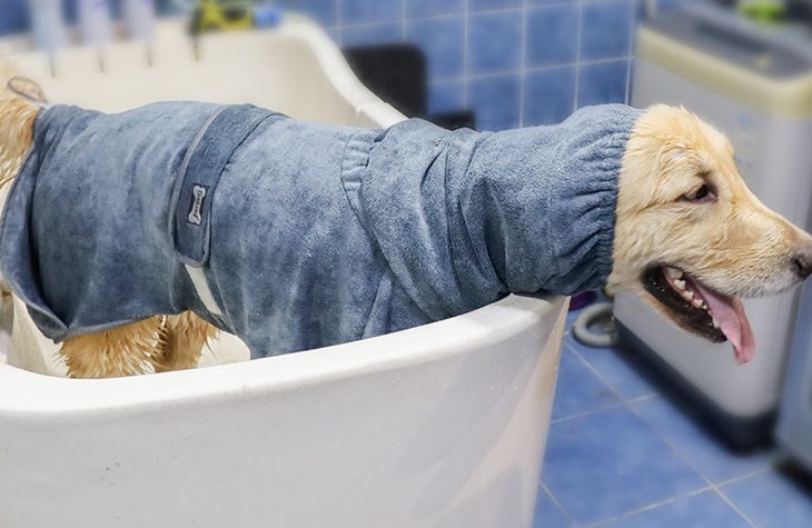 DogRobe - Bademantel für Hunde